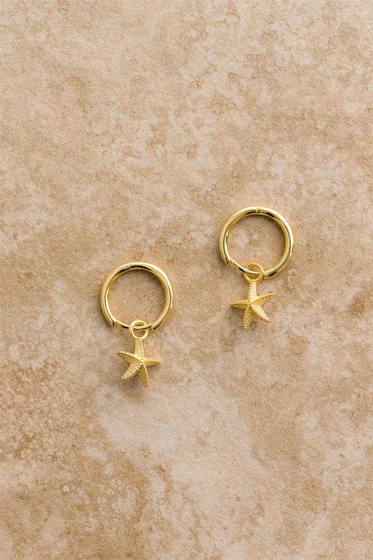 Starfish Earrings